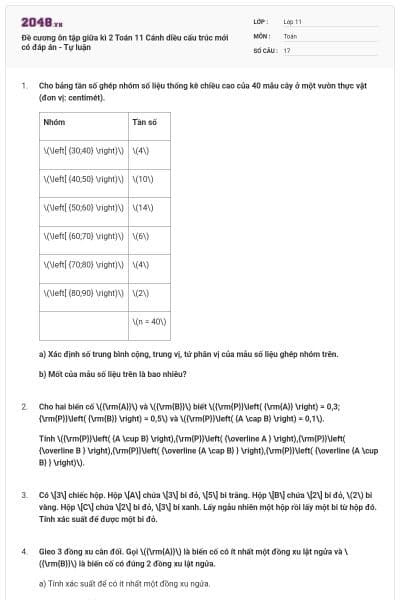 Đề cương ôn tập giữa kì 2 Toán 11 Cánh diều cấu trúc mới có đáp án - Tự luận