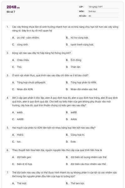 Đề số 7