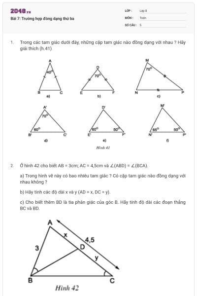 Bài 7: Trường hợp đồng dạng thứ ba
