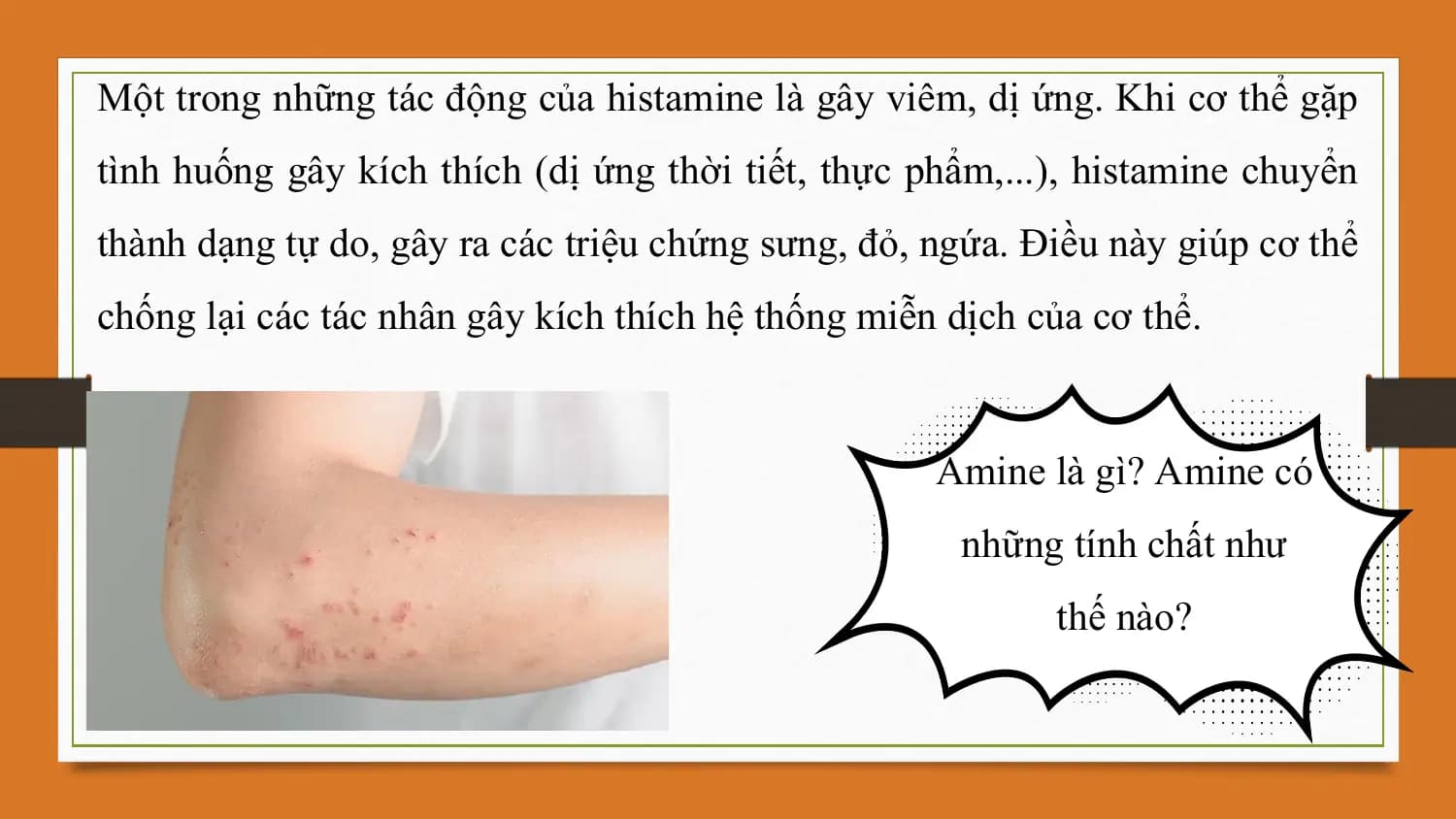 Một trong những tác động của histamine là gây viêm, dị ứng. Khi cơ thể gặp
tình huống gây kích thích (dị ứng thời tiết, thực phẩm,...), histamine chuyển
thành dạng tự do, gây ra các triệu chứng sưng, đỏ, ngứa. Điều này giúp cơ thể
chống lại các tác nhân gây kích thích hệ thống miễn dịch của cơ thể.

 Amine là gì? Amine có
 những tính chất như
 thế nào?