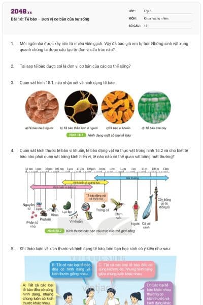 Bài 18: Tế bào – Đơn vị cơ bản của sự sống