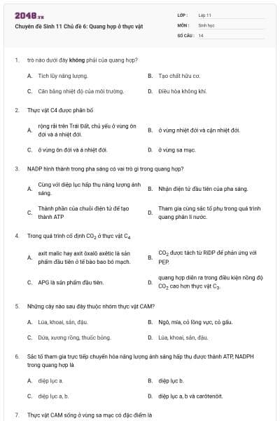 Chuyên đề Sinh 11 Chủ đề 6: Quang hợp ở thực vật
