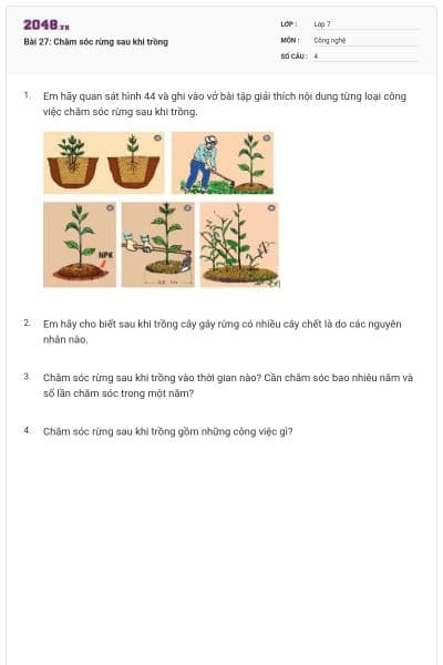 Bài 27: Chăm sóc rừng sau khi trồng