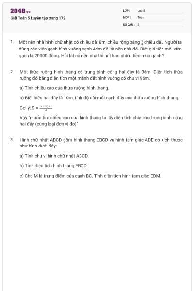 Giải Toán 5 Luyện tập trang 172