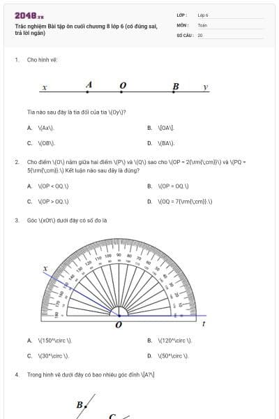 Trắc nghiệm Bài tập ôn cuối chương 8 lớp 6 (có đúng sai, trả lời ngắn)