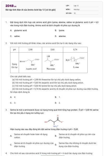 Bài tập tính điện di của Amino Acid lớp 12 (có lời giải)