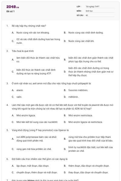 Đề số 1