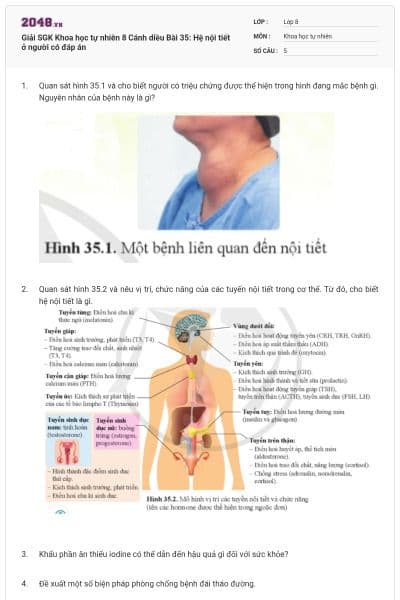 Giải SGK Khoa học tự nhiên 8 Cánh diều Bài 35: Hệ nội tiết ở người có đáp án