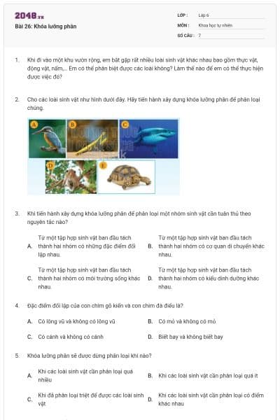 Bài 26: Khóa lưỡng phân