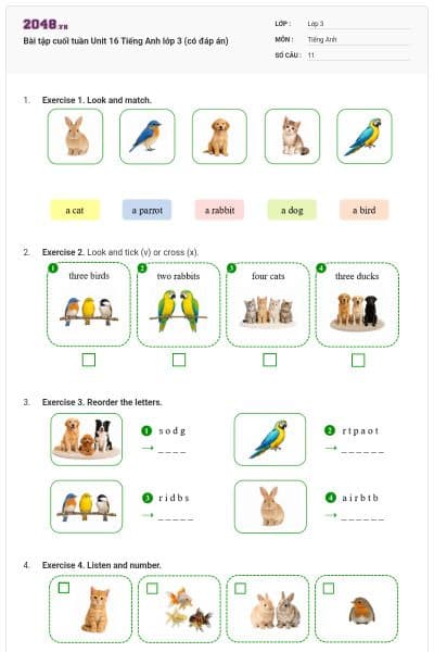 Bài tập cuối tuần Unit 16 Tiếng Anh lớp 3 (có đáp án)