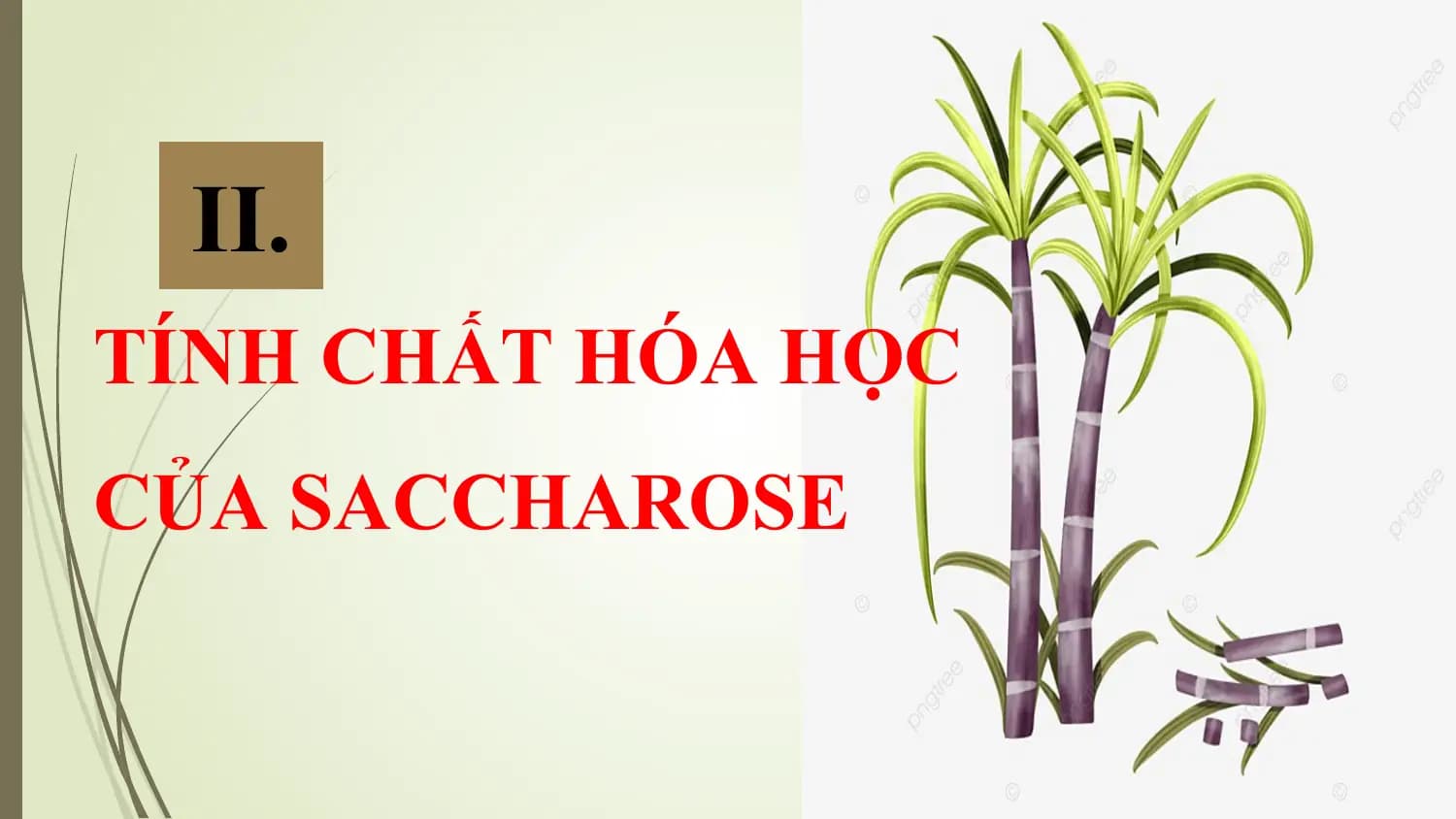 II.
TÍNH CHẤT HÓA HỌC
CỦA SACCHAROSE