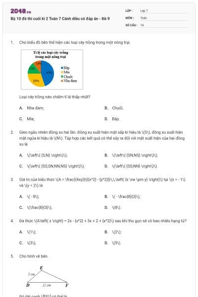 Bộ 10 đề thi cuối kì 2 Toán 7 Cánh diều có đáp án - Đề 9