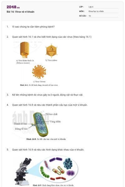 Bài 16: Virus và vi khuẩn