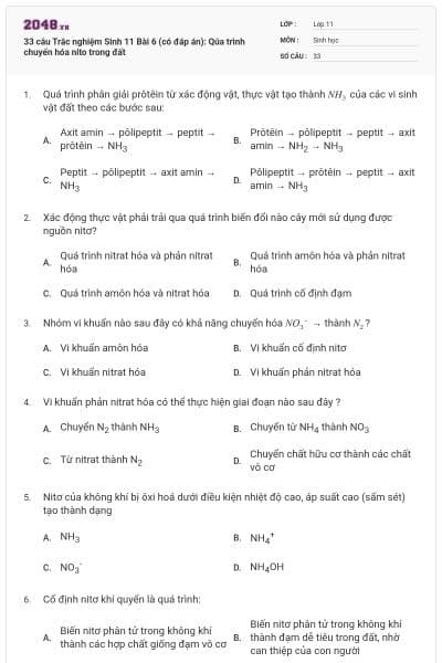 33 câu  Trắc nghiệm Sinh 11 Bài 6 (có đáp án): Qúa trình chuyển  hóa nito trong đất