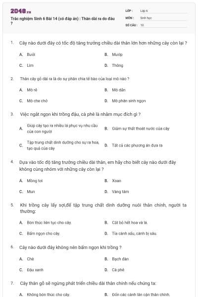 Trắc nghiệm Sinh 6 Bài 14 (có đáp án) : Thân dài ra do đâu ?