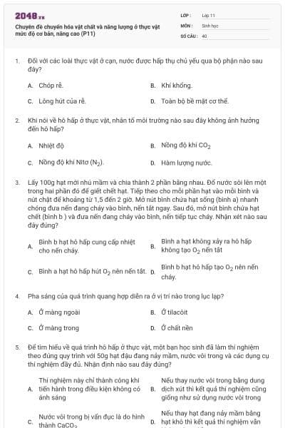 Chuyên đề chuyển hóa vật chất và năng lượng ở thực vật mức độ cơ bản, nâng cao (P11)