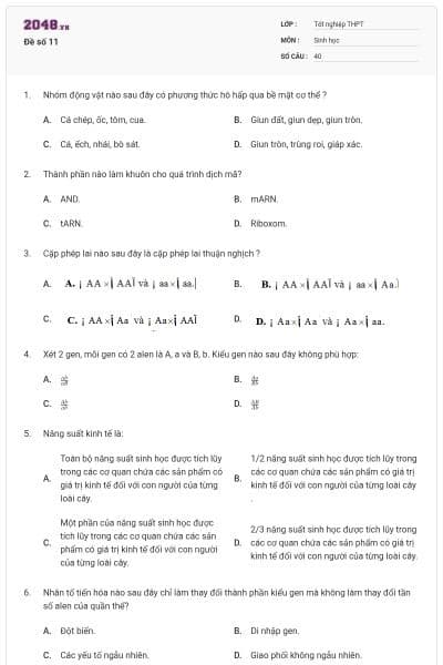 Đề số 11