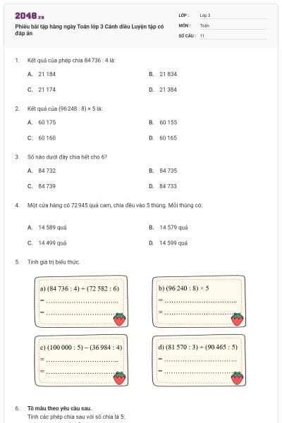 Phiếu bài tập hàng ngày Toán lớp 3 Cánh diều Luyện tập có đáp án