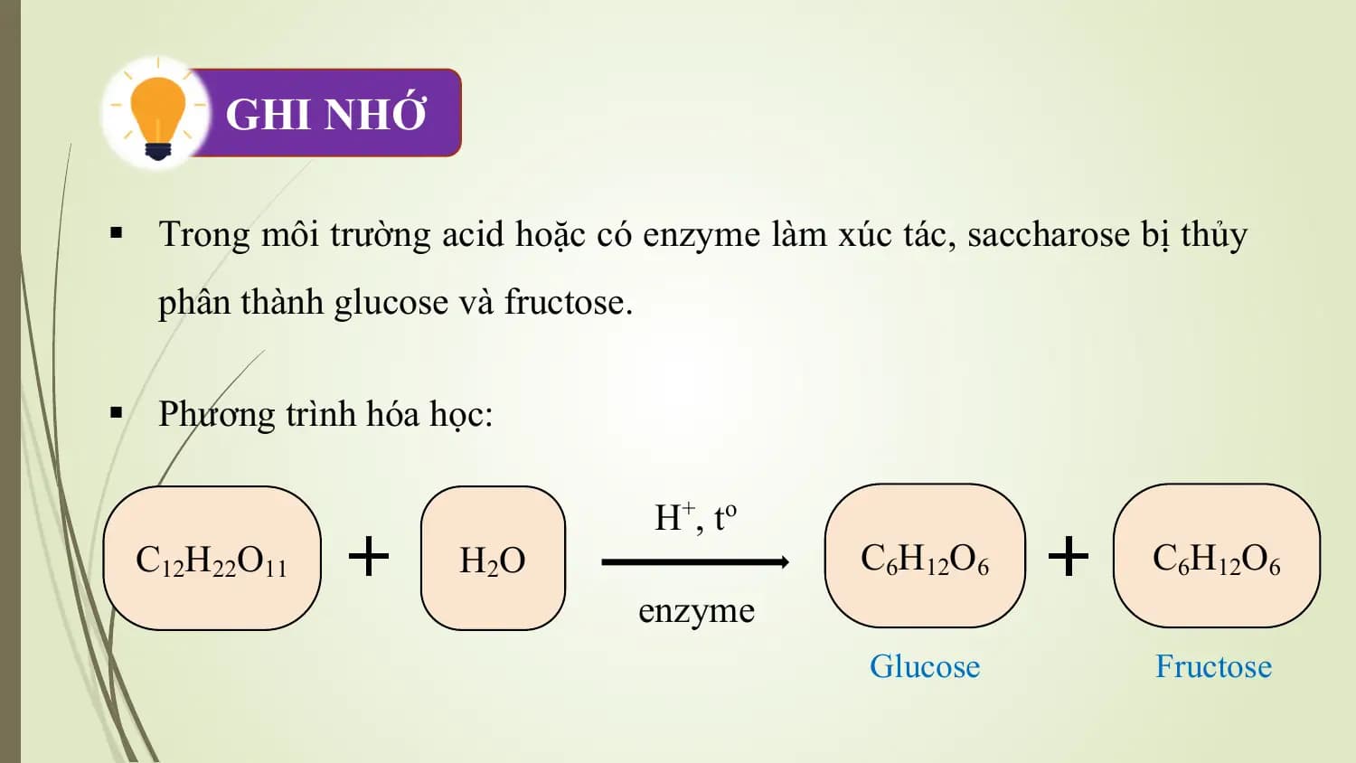 GHI NHỚ

§ Trong môi trường acid hoặc có enzyme làm xúc tác, saccharose bị thủy
 phân thành glucose và fructose.

§ Phương trình hóa học:

 H+ , t o
 C12H22O11 H2O C6H12O6 C6H12O6
 enzyme
 Glucose Fructose