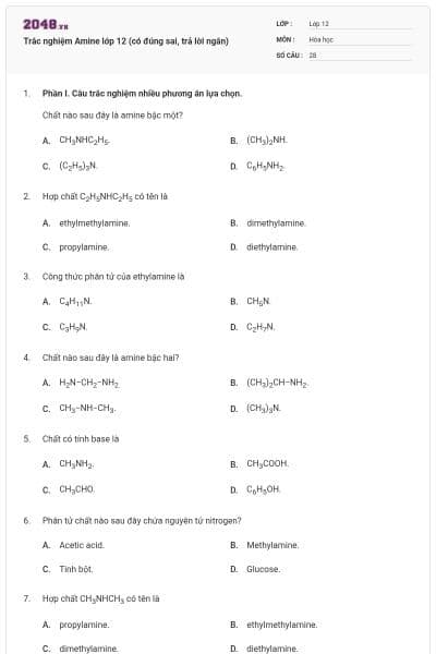 Trắc nghiệm Amine lớp 12 (có đúng sai, trả lời ngắn)