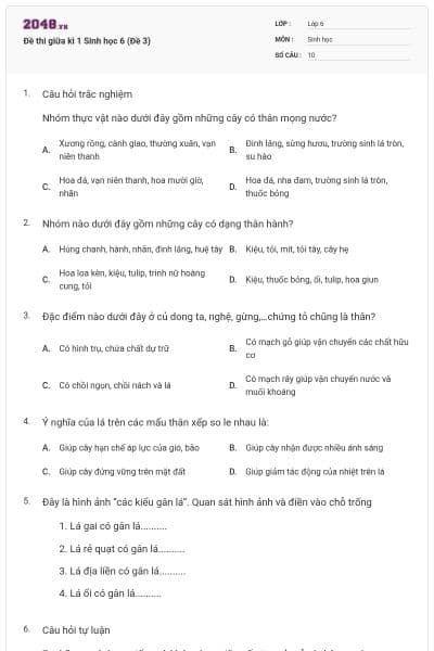 Đề thi giữa kì 1 Sinh học 6 (Đề 3)