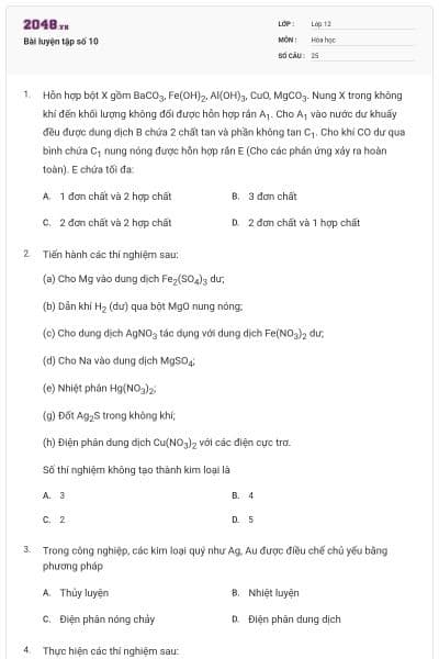 Bài luyện tập số 10