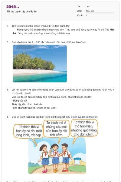 Bài tập Luyện tập có đáp án