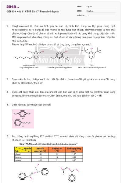 Giải SGK Hóa 11 CTST Bài 17. Phenol có đáp án