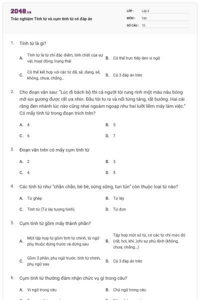 Trắc nghiệm Tính từ và cụm tính từ có đáp án
