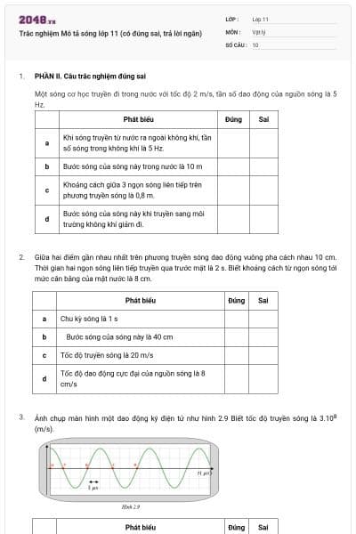 Trắc nghiệm Mô tả sóng lớp 11 (có đúng sai, trả lời ngắn)