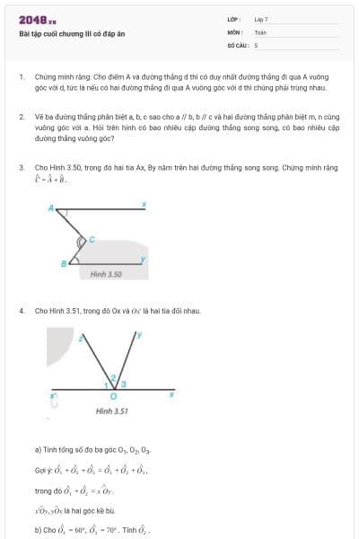 Bài tập cuối chương III có đáp án
