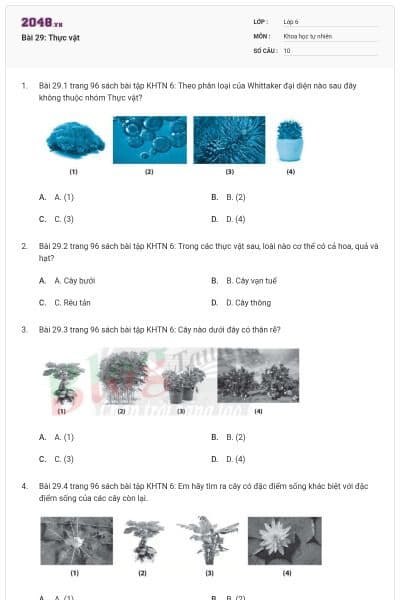 Bài 29: Thực vật