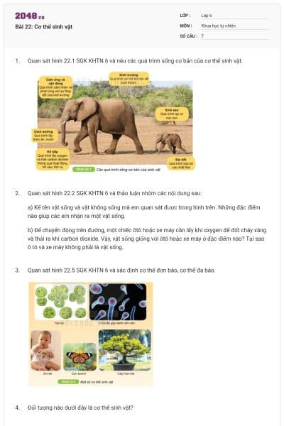 Bài 22: Cơ thể sinh vật