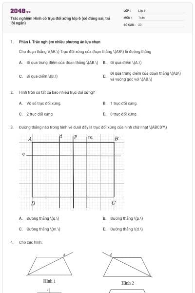 Trắc nghiệm Hình có trục đối xứng lớp 6 (có đúng sai, trả lời ngắn)