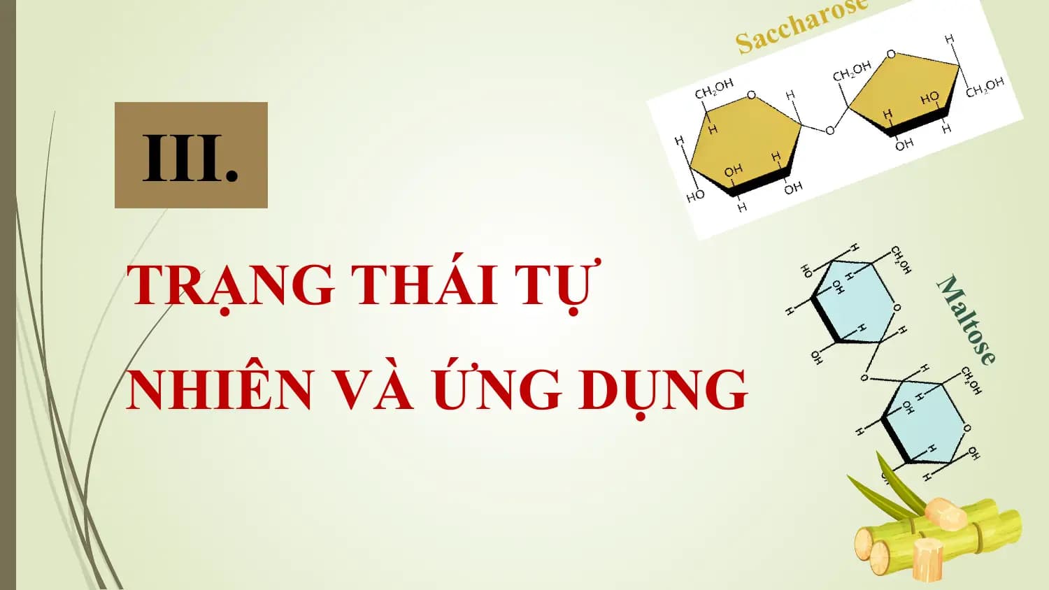 r o se
 c ha
 Sac

III.
TRẠNG THÁI TỰ

 Ma
 lto
NHIÊN VÀ ỨNG DỤNG

 se