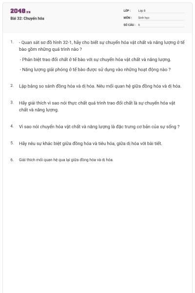 Bài 32: Chuyển hóa