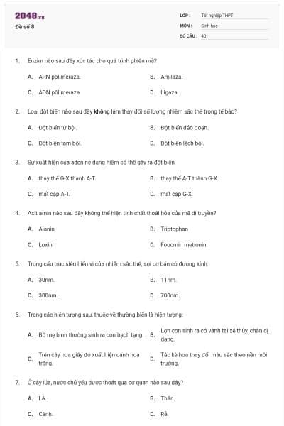 Đề số 8