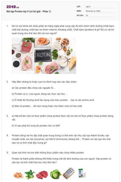 Bài tập Protein lớp 9 (có lời giải - Phần 1)