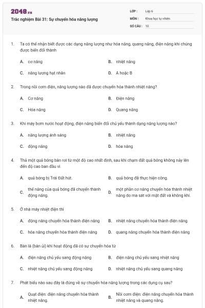 Trắc nghiệm Bài 31: Sự chuyển hóa năng lượng