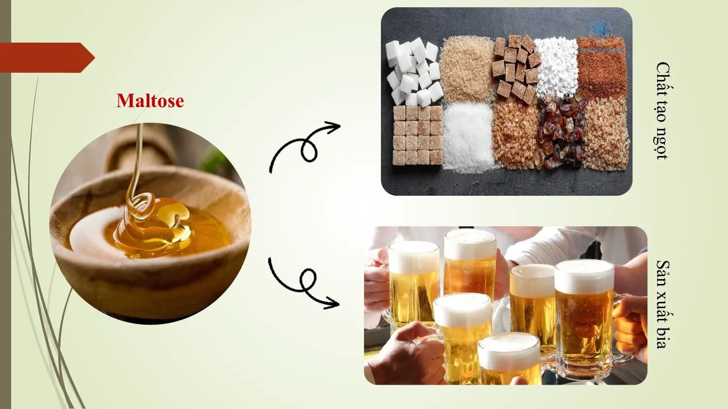 Chất tạo ngọt Sản xuất bia
 Maltose