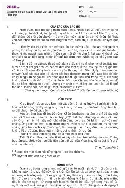 Đề cương ôn tập cuối kì 2 Tiếng Việt lớp 3 (có đáp án) - Phần Đọc