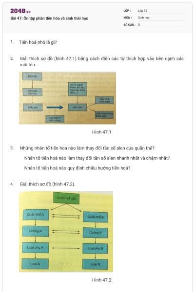 Bài 47: Ôn tập phần tiến hóa và sinh thái học
