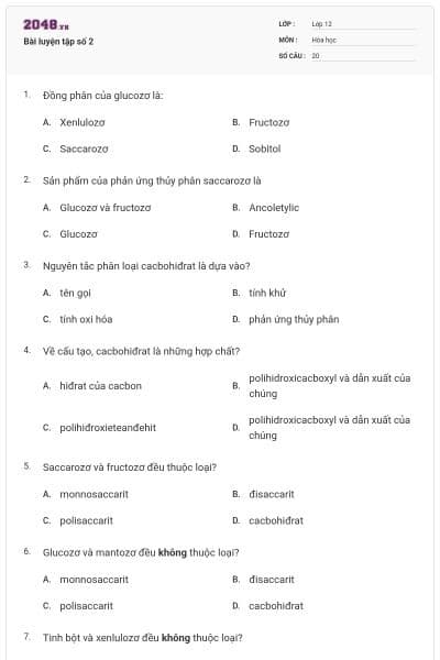 Bài luyện tập số 2