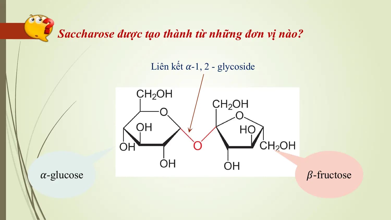 Saccharose được tạo thành từ những đơn vị nào?

 Liên kết 𝛼-1, 2 - glycoside

𝛼-glucose 𝛽-fructose
