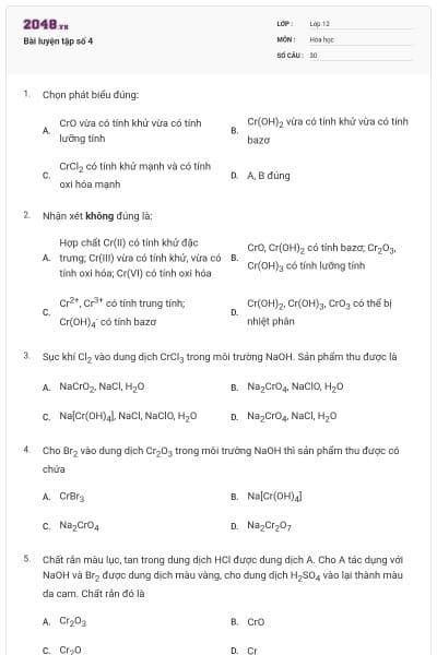 Bài luyện tập số 4