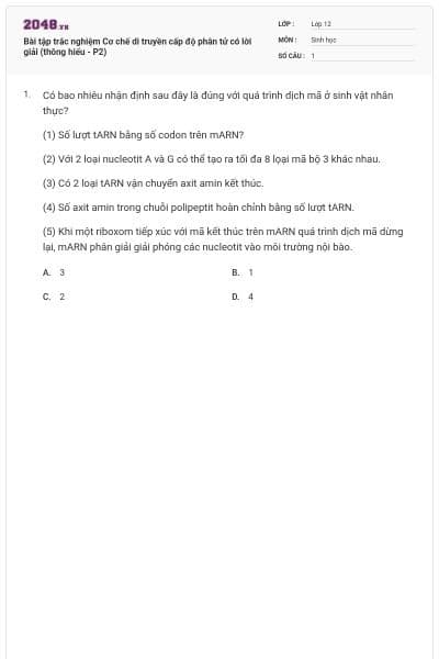 Bài tập trắc nghiệm Cơ chế di truyền cấp độ phân tử có lời giải (thông hiểu - P2)