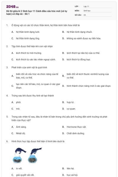 Đề thi giữa kì 2 Sinh học 11 Cánh diều cấu trúc mới (có tự luận) có đáp án - Đề 1