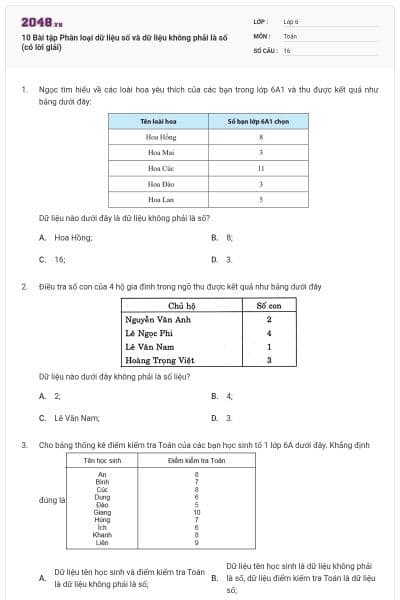 10 Bài tập Phân loại dữ liệu số và dữ liệu không phải là số (có lời giải)