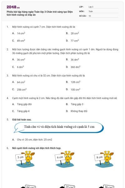 Phiếu bài tập hàng ngày Toán lớp 3 Chân trời sáng tạo Diện tích hình vuông có đáp án