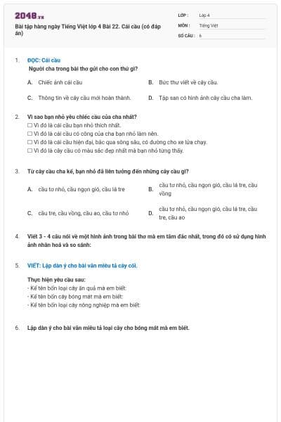 Bài tập hàng ngày Tiếng Việt lớp 4 Bài 22. Cái cầu (có đáp án)